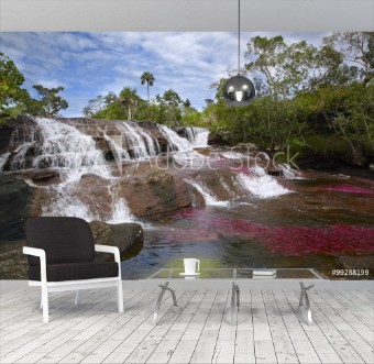 Picture of The river Canio Cristales is commonly called the River of Five Colors or the Liquid Rainbow